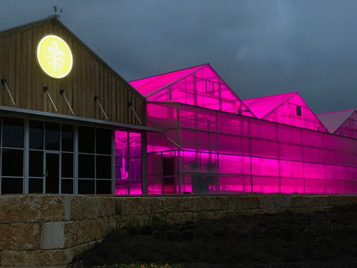 True Harvest Greenhouse, Texas